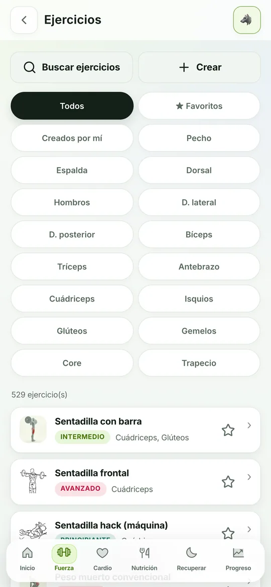 Ficha de ejercicio con animación y músculos trabajados